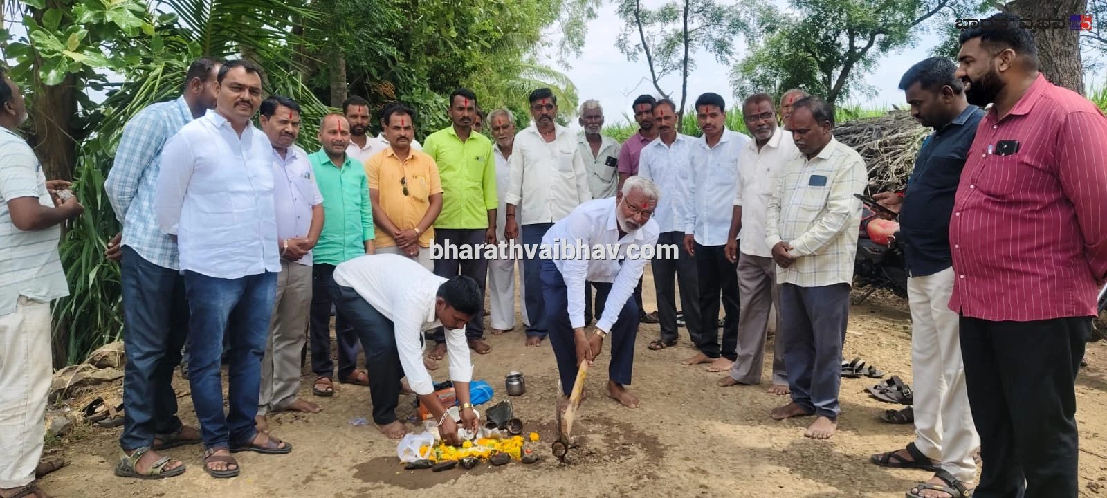 news_1781157444_1_233.webp