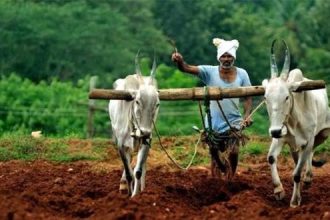 ವಿಜಯಪುರ ಬಳಿಕ ಮತ್ತೆರಡು ಜಿಲ್ಲೆಗಳ ರೈತರಿಗೆ ವಕ್ಫ್ ನೋಟಿಸ್ 