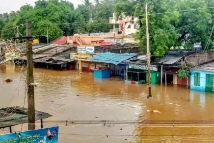 ಮೇವು ತರಲು ಹೋದಾಗ ಕೃಷ್ಣಾ ನದಿಪಾಲಾದ ರೈತ