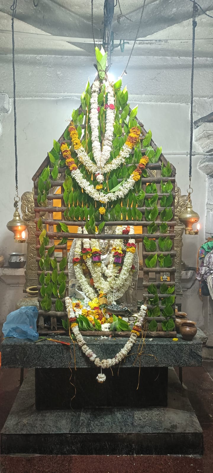 ವೀರಭದ್ರ ದೇವರ ದರ್ಶನ ಪಡೆದ ನೂರಾರು ಭಕ್ತರು