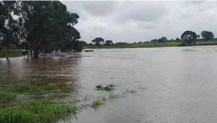 ಮಲಿಕವಾಡ ದೂಧಗಂಗಾ ನದಿ ಅಣೆಕಟ್ಟು ಮೂರನೇ ಬಾರಿಗೆ ಜಲಾವೃತ