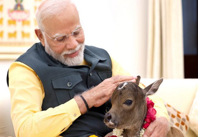 ಪ್ರಧಾನಿ ಮನೆಗೆ ಹೊಸ ಅತಿಥಿ ಆಗಮನ 