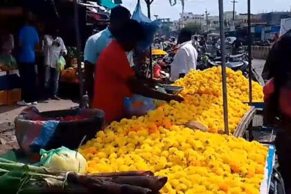 ವಿಜಯದಶಮಿ ಹಬ್ಬದ ಪ್ರಯುಕ್ತ ಕಬ್ಬು ಬಾಳಿ ಭರ್ಜರಿ ವ್ಯಾಪಾರ ಸುಲೇಪೇಟ ಗ್ರಾಮದಲ್ಲಿ