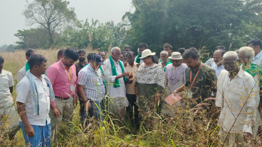 ರಾಜ್ಯ ತಂಡ ತಾಲ್ಲೂಕಿನ ವಿವಿಧೆಡೆ ಭೇಟಿ ನೀಡಿ  ಬೆಳೆ ಹಾನಿ ಸಮೀಕ್ಷೆ