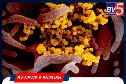 COVID-like HMPV Virus Scare in China: India on High Alert.