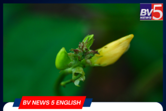 Cowpea Seeds Sprout in Space: ISRO’s Breakthrough in Space Farming.