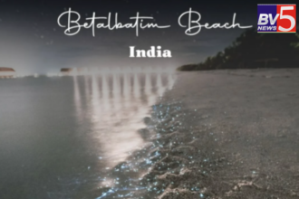 Betalbatim Beach: Goa’s Tranquil Haven with a Magical Night Glow.