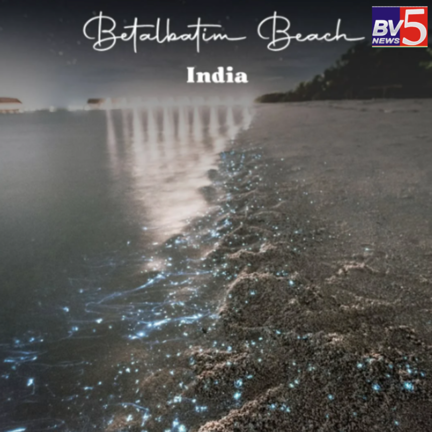 Betalbatim Beach: Goa’s Tranquil Haven with a Magical Night Glow.