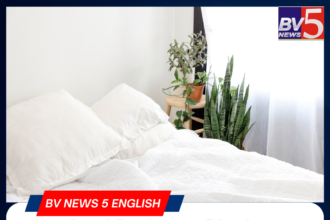 Best Bedroom Plants to Create a Fresh and Vibrant Atmosphere.