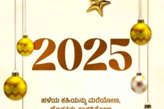 2024 ಕ್ಕೆ ಗುಡ್ ಬೈ : 2025 ಕ್ಕೆ ಗ್ರ್ಯಾಂಡ್ ವೆಲ್ ಕಮ್