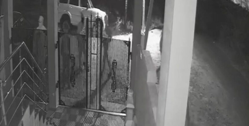 ವಿಜಯಪುರದಲ್ಲಿ ಡೆಡ್ಲಿ ಗ್ಯಾಂಗ್ ನಿಂದ ಮನೆ ಮಾಲೀಕನ ಹತ್ಯೆಗೆ ಯತ್ನ ವಿಜಯಪುರದಲ್ಲಿ ಡೆಡ್ಲಿ ಗ್ಯಾಂಗ್ ನಿಂದ ಮನೆ ಮಾಲೀಕನ ಹತ್ಯೆಗೆ ಯತ್ನ