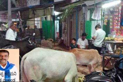 ಅನಧಿಕೃತ ಡಬ್ಡಾ ಅಂಗಡಿಗಳ ಹಾವಳಿ..‌