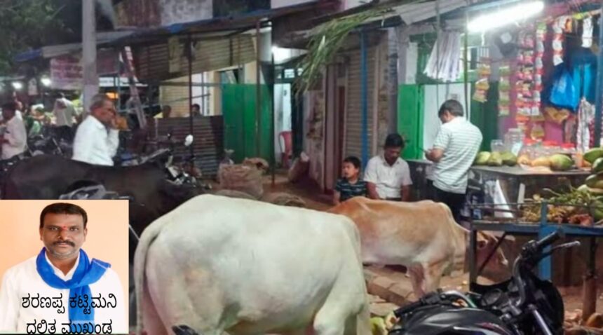 ಅನಧಿಕೃತ ಡಬ್ಡಾ ಅಂಗಡಿಗಳ ಹಾವಳಿ.. ಅನಧಿಕೃತ ಡಬ್ಡಾ ಅಂಗಡಿಗಳ ಹಾವಳಿ..