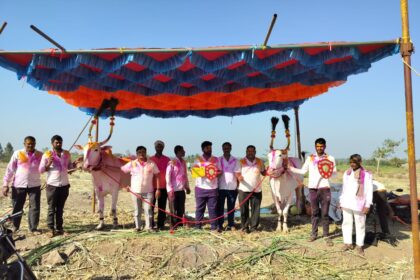 ತೋರಣಹಳ್ಳಿ ಎತ್ತಿನ ಜೋಡಿ ಭರ್ಜರಿ ಎರಡು ಸ್ಥಾನಗಳಲ್ಲಿ ಪ್ರಥಮ ಗೆಲವು.