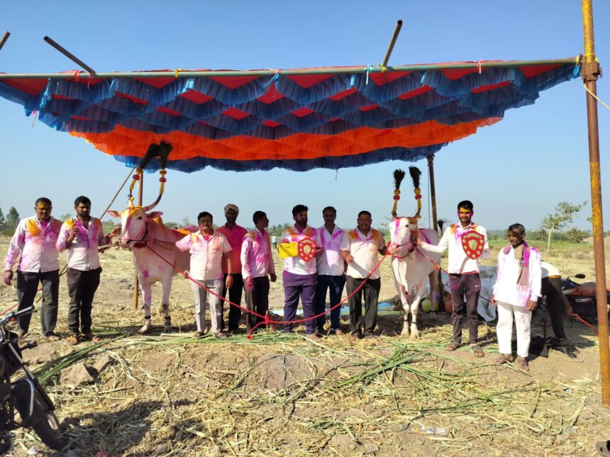 ತೋರಣಹಳ್ಳಿ ಎತ್ತಿನ ಜೋಡಿ ಭರ್ಜರಿ ಎರಡು ಸ್ಥಾನಗಳಲ್ಲಿ ಪ್ರಥಮ ಗೆಲವು. ತೋರಣಹಳ್ಳಿ ಎತ್ತಿನ ಜೋಡಿ ಭರ್ಜರಿ ಎರಡು ಸ್ಥಾನಗಳಲ್ಲಿ ಪ್ರಥಮ ಗೆಲವು.