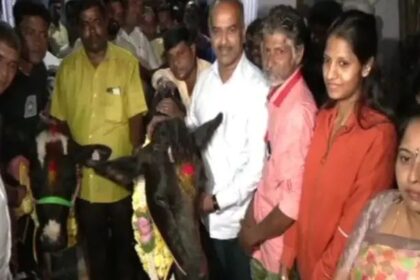 ಹಸುಗಳ ಕೆಚ್ಚಲು ಕೊಯ್ದು ಪ್ರಕರಣ: ಮಾಲೀಕನಿಗೆ ಎರಡು ಹಸು ಮತ್ತು ಒಂದು ಕರು ಕೊಟ್ಟ ಸಂಸದ 