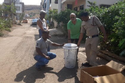 ಡ್ರೇ ನೈಜ ಹೊಂಡ ದಲ್ಲಿ ಬಿದ್ದ ನಾಯಿ ಜೀವಂತ ಕಾಪಾಡಿದ ಅಗ್ನಿಶಾಮಕ ದಳ