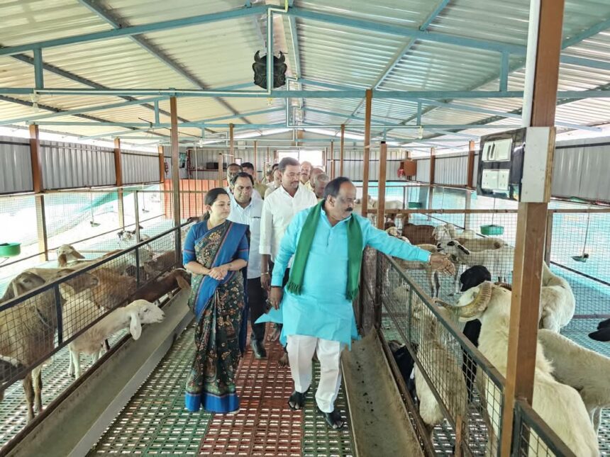ರಾಷ್ಟ್ರೀಯ ಜಾನುವಾರು ಮಿಷನ್ ಯೋಜನೆ ಯಶೋಗಾಥೆ