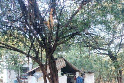  ಕೆರೆಕೊಂಡಾಪುರ ಗ್ರಾಮದಲ್ಲಿ ಕಳೆದ ರಾತ್ರಿ ಎರಡು ಎತ್ತುಗಳು ಕಳ್ಳತನ ವಾಗಿರುವ ಘಟನೆ ನಡೆದಿದೆ.