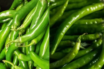 ದಿನಕ್ಕೆ ಎಷ್ಟು ಹಸಿ ಮೆಣಸಿನಕಾಯಿ ತಿನ್ನುವುದು ಆರೋಗ್ಯಕ್ಕೆ ಒಳ್ಳೆಯದು?