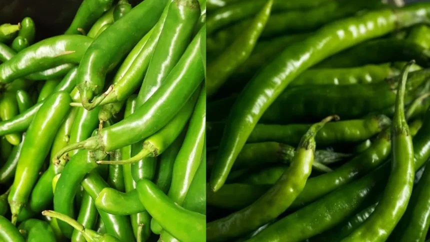 ದಿನಕ್ಕೆ ಎಷ್ಟು ಹಸಿ ಮೆಣಸಿನಕಾಯಿ ತಿನ್ನುವುದು ಆರೋಗ್ಯಕ್ಕೆ ಒಳ್ಳೆಯದು? ದಿನಕ್ಕೆ ಎಷ್ಟು ಹಸಿ ಮೆಣಸಿನಕಾಯಿ ತಿನ್ನುವುದು ಆರೋಗ್ಯಕ್ಕೆ ಒಳ್ಳೆಯದು?