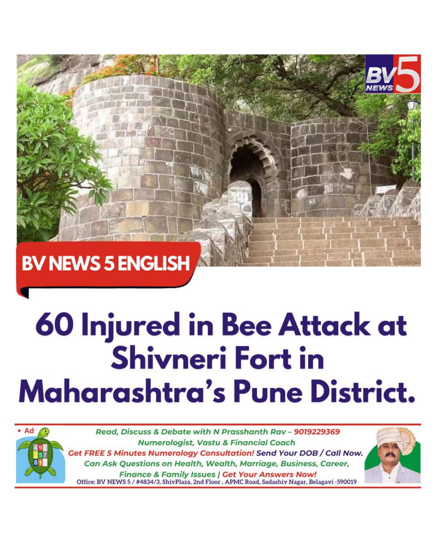 60 Injured in Bee Attack at Shivneri Fort in Maharashtra’s Pune District