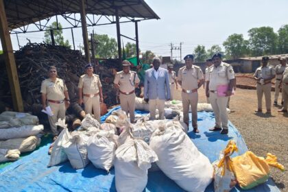 ಇವತ್ತು ಅಬಕಾರಿ ಇಲಾಖೆ ಅಧಿಕಾರಿಗಳಿoದ ಭರ್ಜರಿ ವಶಪಡಿಸಿಕೊಂಡ ಗಾಂಜಾ ನಾಶ ಮಾಡಲಾಯಿತು.