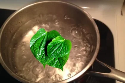 ವೀಳ್ಯದೆಲೆಯನ್ನು ನೀರಿನಲ್ಲಿ ಕುದಿಸಿ ಕುಡಿಯಿರಿ, ಚರ್ಮದಲ್ಲಿ ಈ ಬದಲಾವಣೆ ಖಂಡಿತ