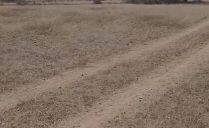 ಹೊಲಕ್ಕೆ ದಾರಿ ಗುರುತಿಸಿಕೊಡಲು ತಹಸೀಲ್ದಾರ್ ಗೆ ಮನವಿ