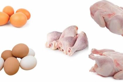 ಕೋಳಿ ಮಾಂಸ, ಮೊಟ್ಟೆ ತಿಂದರೇ ಹಕ್ಕಿ ಜ್ವರ ಬರುವುದಿಲ್ಲ : ಪಶು ವೈದ್ಯಕೀಯ ಇಲಾಖೆ ಸ್ಪಷ್ಟನೆ 