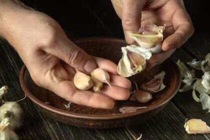 ಬೇಸಿಗೆಯಲ್ಲಿ ಹಸಿ ಬೆಳ್ಳುಳ್ಳಿ ತಿಂದ್ರೆ ಏನಾಗುತ್ತೆ?