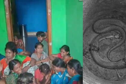ಬಾಲಕಿ ಶ್ರಾವಣಿಗೆ ಮೃತ್ಯುವಾಗಿ ಬಂದ ನಾಗರ ಹಾವು