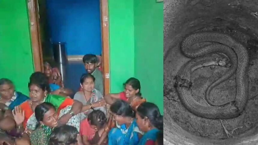 ಬಾಲಕಿ ಶ್ರಾವಣಿಗೆ ಮೃತ್ಯುವಾಗಿ ಬಂದ ನಾಗರ ಹಾವು