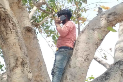 ಇಲ್ಲಿ ಮೊಬೈಲ್ ರಿಂಗ್ ಆಗುತ್ತಿದ್ದಂತೇಯೇ ಜನ ಮರ ಹತ್ತುತ್ತಾರೆ !!