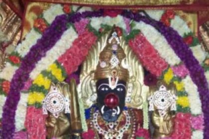  ಹೆಗ್ಗನಹಳ್ಳಿಯಲ್ಲಿ  ಹನುಮಂತ ದೇವರ, ಪೂಜಮ್ಮ ಮತ್ತು ಅಣ್ಣಮ್ಮ ದೇವಿ ಇತಿಹಾಸಿಕ ಜಾತ್ರಾ ಮಹೋತ್ಸವ”