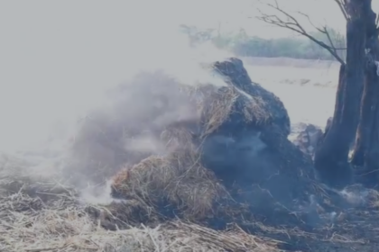 ಗಾರಲದಿನ್ನಿಯಲ್ಲಿ ಬೆಂಕಿಗೆ ಹೊತ್ತಿ ಉರಿದ ಬಣವೆಗಳು