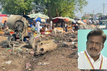 ಗಬ್ಬು ನಾರುತ್ತಿರುವ ಸಂತೆ ಬಜಾರ್: ರೈತ ವ್ಯಾಪಾರಸ್ಥರಿಗೆ ನರಕ ಯಾತನೆ