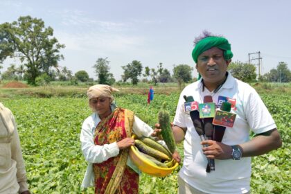  ಸೌತೆಕಾಯಿಗೆ ಸೂಕ್ತ ಬೆಲೆಯಿಲ್ಲದೇ ಕಂಗಾಲಾದ ರೈತ