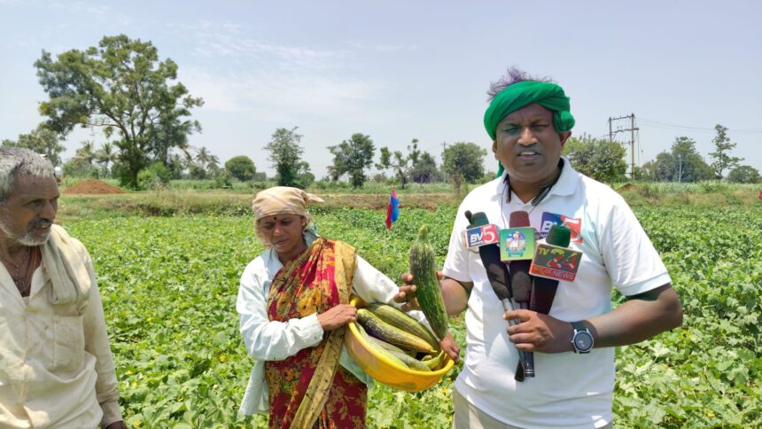 ಸೌತೆಕಾಯಿಗೆ ಸೂಕ್ತ ಬೆಲೆಯಿಲ್ಲದೇ ಕಂಗಾಲಾದ ರೈತ ಸೌತೆಕಾಯಿಗೆ ಸೂಕ್ತ ಬೆಲೆಯಿಲ್ಲದೇ ಕಂಗಾಲಾದ ರೈತ