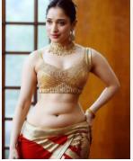 ‘ಕನ್ನಡದ ಕಲಾವಿದರಿಗೆ ಅವಕಾಶ ಸಿಕ್ಕಿದ್ದರೆ ಇನ್ನು ಚೆನ್ನಾಗಿರುತ್ತಿತ್ತು’