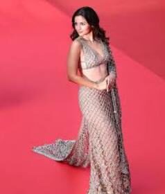 ‘ಸಾರೀ’  ಗೆ ಸೊಬಗು ನೀಡಿದ ನಟಿ ಅಲಿಯಾ ಭಟ್