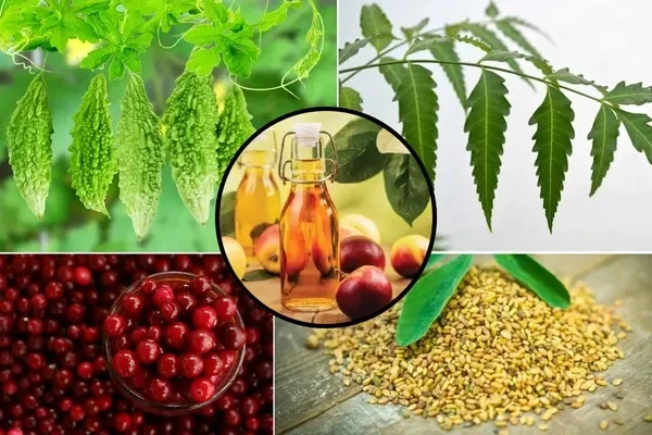 ಈ ಪದಾರ್ಥಗಳು ನಾಲಿಗೆಗೆ ಕಹಿ ಆದ್ರೂ ಆರೋಗ್ಯಕ್ಕೆ ವರದಾನ : ಇದರ ಬಗ್ಗೆ ತಿಳಿಯಿರಿ. ಈ ಪದಾರ್ಥಗಳು ನಾಲಿಗೆಗೆ ಕಹಿ ಆದ್ರೂ ಆರೋಗ್ಯಕ್ಕೆ ವರದಾನ : ಇದರ ಬಗ್ಗೆ ತಿಳಿಯಿರಿ.