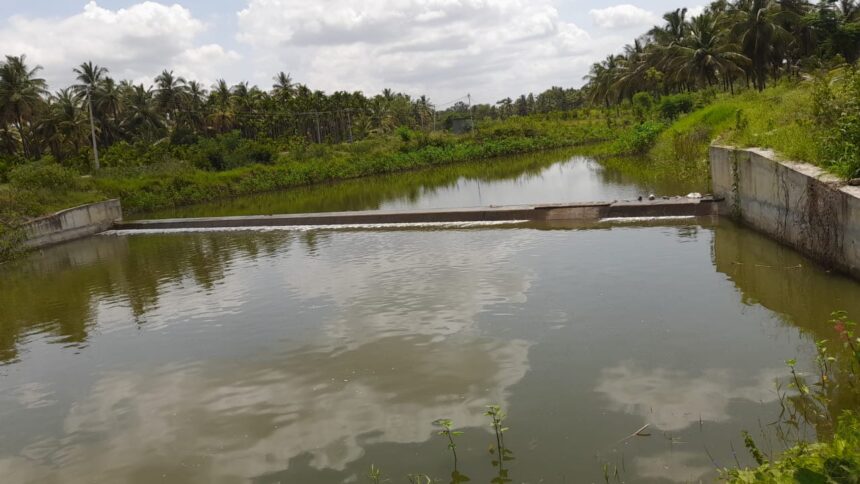 ಮಲ್ಲಾಘಟ್ಟ ಕೆರೆಗೆ ತಿಪಟೂರು ನಗರದ ಯುಜಿಡಿ(ಒಳಚರಂಡಿ) ಕೊಳಚೆ ನೀರು ಹರಿಸದಂತೆ ಕಾಂತರಾಜ್ ಒತ್ತಾಯ ಮಲ್ಲಾಘಟ್ಟ ಕೆರೆಗೆ ತಿಪಟೂರು ನಗರದ ಯುಜಿಡಿ(ಒಳಚರಂಡಿ) ಕೊಳಚೆ ನೀರು ಹರಿಸದಂತೆ ಕಾಂತರಾಜ್ ಒತ್ತಾಯ