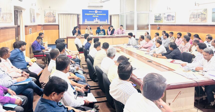 ಜಿಲ್ಲಾ ವಿಪತ್ತು ನಿರ್ವಹಣಾ ಪ್ರಾಧಿಕಾರ ಸಭೆ