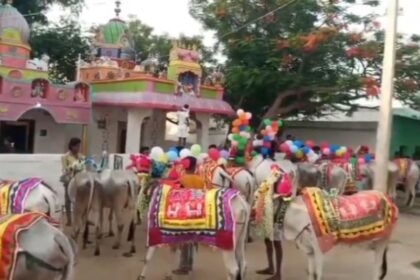 ಮುಂಗಾರು ಆರಂಭದ ಮೊದಲ ಹಬ್ಬವಾದ ಕಾರ ಹುಣ್ಣಿಮೆಯ ತಾಲೂಕಿನಾದ್ಯಂತ ಸಂಭ್ರಮ