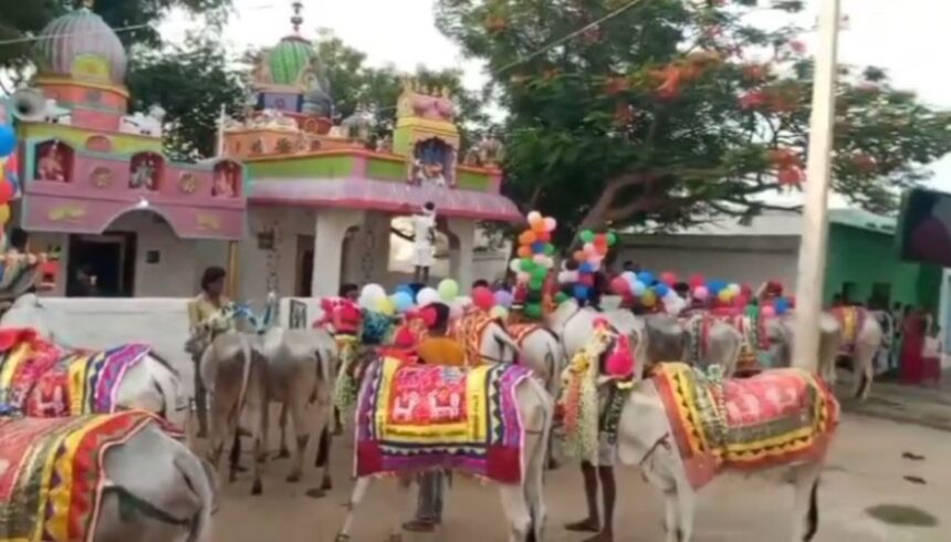 ಮುಂಗಾರು ಆರಂಭದ ಮೊದಲ ಹಬ್ಬವಾದ ಕಾರ ಹುಣ್ಣಿಮೆಯ ತಾಲೂಕಿನಾದ್ಯಂತ ಸಂಭ್ರಮ ಮುಂಗಾರು ಆರಂಭದ ಮೊದಲ ಹಬ್ಬವಾದ ಕಾರ ಹುಣ್ಣಿಮೆಯ ತಾಲೂಕಿನಾದ್ಯಂತ ಸಂಭ್ರಮ