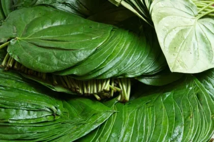 ಮೆದುಳಿನ ಆರೋಗ್ಯಕ್ಕೆ ವೀಳೆದ ಏಲೆ ಜೇನುತುಪ್ಪ ಬೆಸ್ಟ್