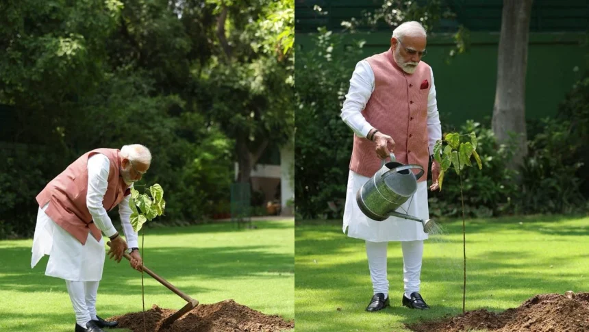 ವಿಶ್ವ ಪರಿಸರ ದಿನ: ತಮ್ಮ ನಿವಾಸದ ಗಾರ್ಡನ್ನಲ್ಲಿ ‘ಸಿಂಧೂರ’ ಸಸಿ ನೆಟ್ಟ ಮೋದಿ ವಿಶ್ವ ಪರಿಸರ ದಿನ: ತಮ್ಮ ನಿವಾಸದ ಗಾರ್ಡನ್ನಲ್ಲಿ ‘ಸಿಂಧೂರ’ ಸಸಿ ನೆಟ್ಟ ಮೋದಿ