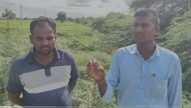 ರೈತರು ಪರದಾಟ,ಕೂಡಲೇ ಹಣದಿ ಸಿದ್ದ ಪಡಿಸಿ, ಭೀಮರಾಯ ಮಲಗಾಣ ಒತ್ತಾಯ ರೈತರು ಪರದಾಟ,ಕೂಡಲೇ ಹಣದಿ ಸಿದ್ದ ಪಡಿಸಿ, ಭೀಮರಾಯ ಮಲಗಾಣ ಒತ್ತಾಯ