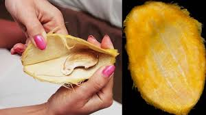 ಮಾವಿನ ಹಣ್ಣುತಿಂದು ಗೊರಟೆ ಬಿಸಾಡುವ ಮುನ್ನ ಅದರ ಪ್ರಯೋಜನ